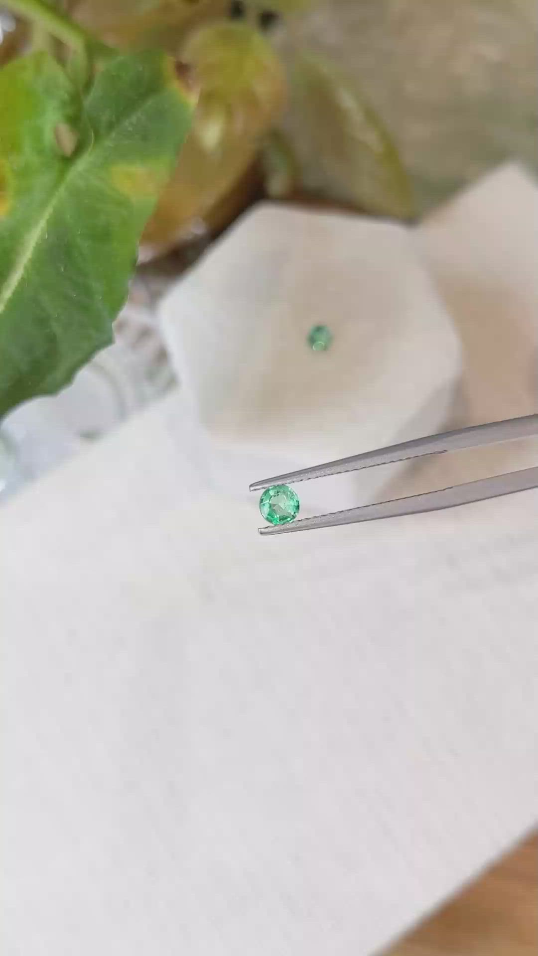 0.42 Ct.Tw.Total Carat Weight Emerald Pair from Zambia Size Video
