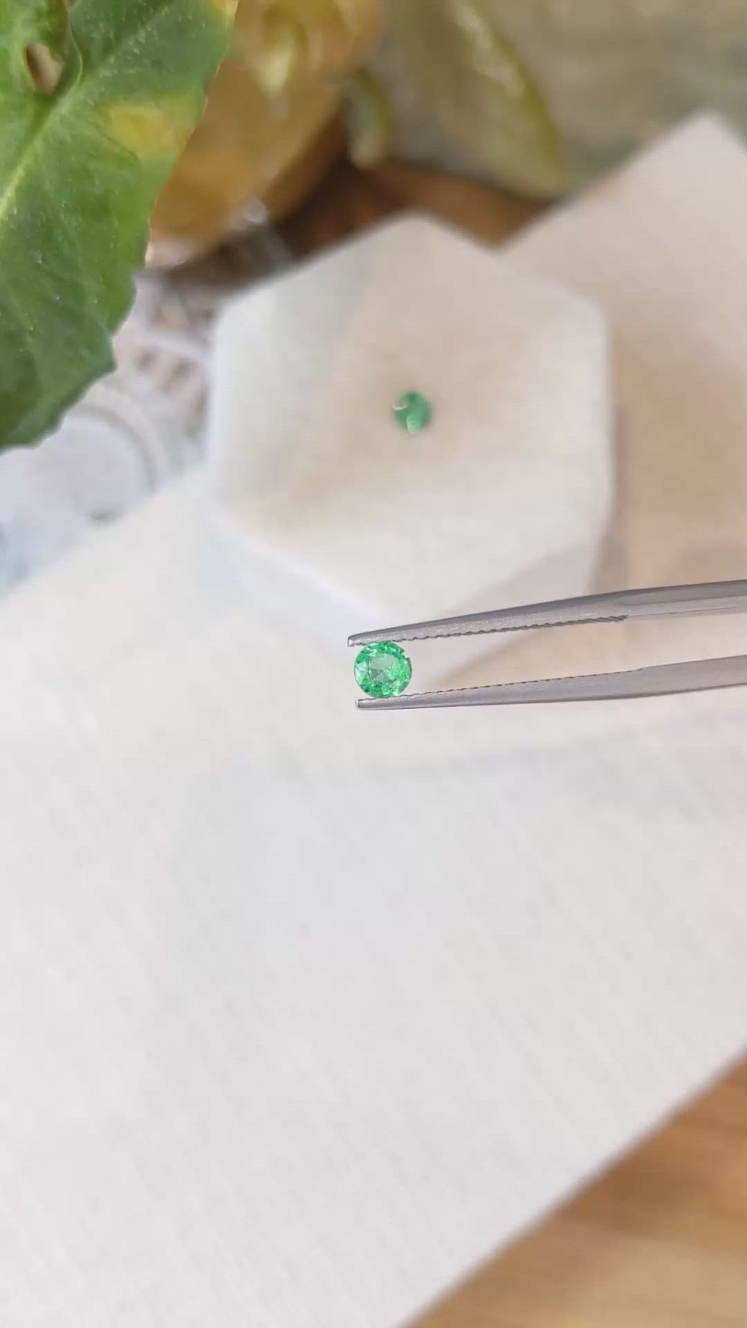 0.50&nbsp;Ct.Tw.Total Carat Weight Emerald Pair from Zambia Size Video