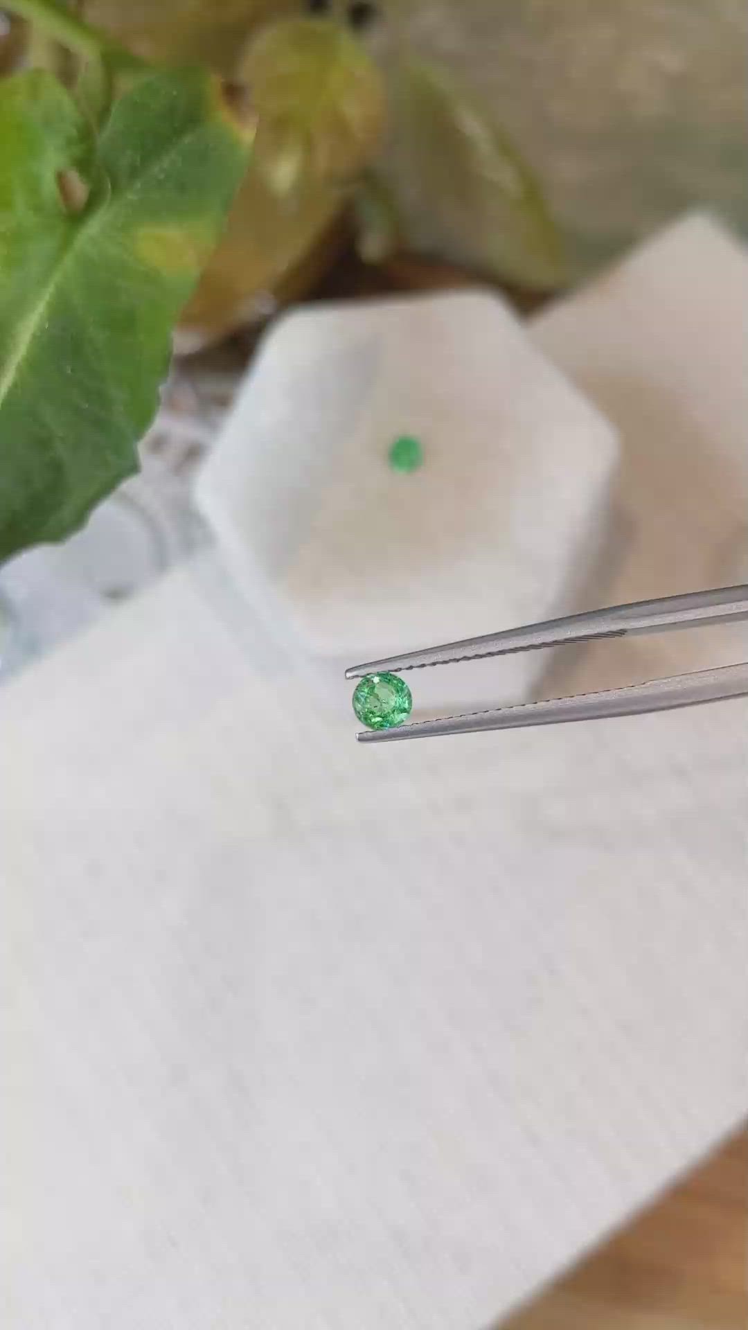 0.50&nbsp;Ct.Tw.Total Carat Weight Emerald Pair from Zambia Size Video