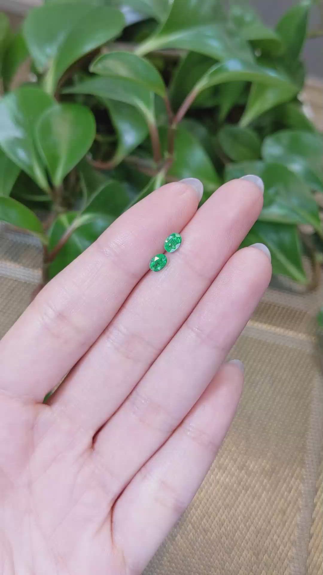 0.62&nbsp;Ct.Tw.Total Carat Weight Emerald Pair from Zambia Size Video
