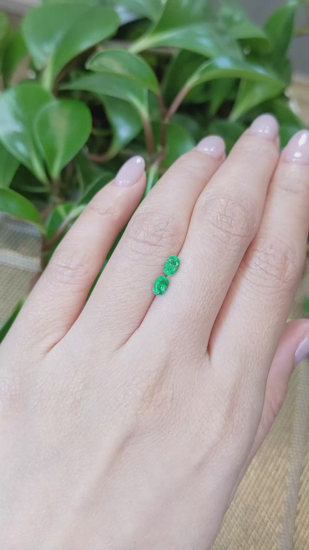 0.62&nbsp;Ct.Tw.Total Carat Weight Emerald Pair from Zambia Size Video