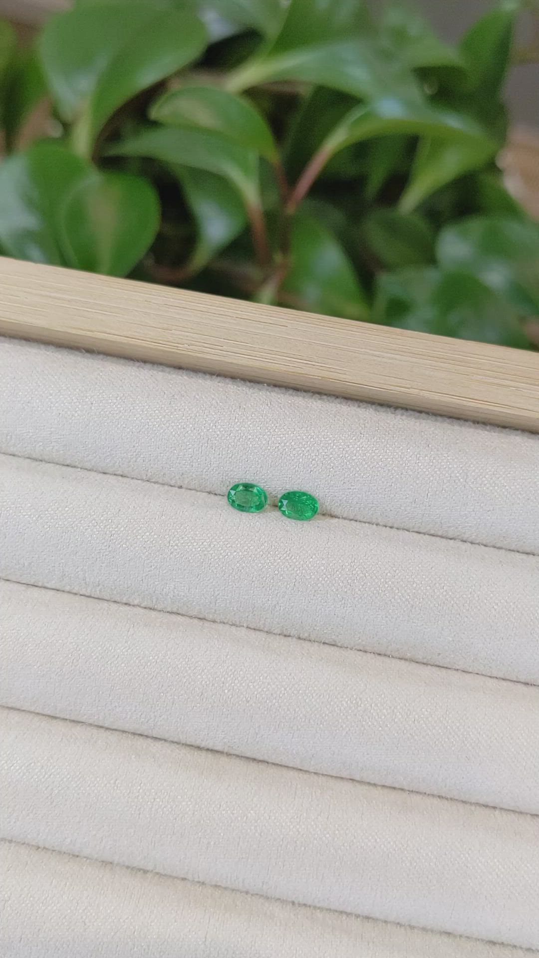 0.51&nbsp;Ct.Tw.Total Carat Weight Emerald Pair from Zambia Size Video