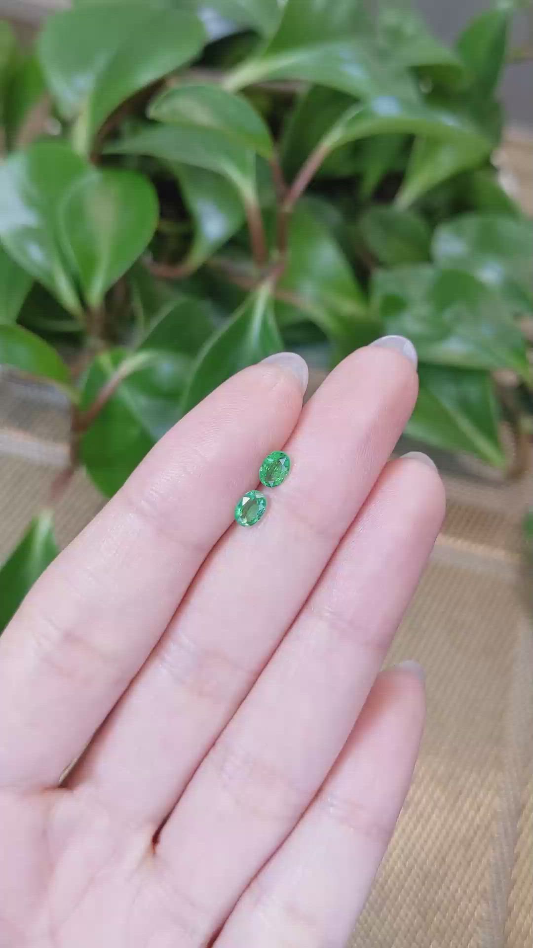 0.51&nbsp;Ct.Tw.Total Carat Weight Emerald Pair from Zambia Size Video