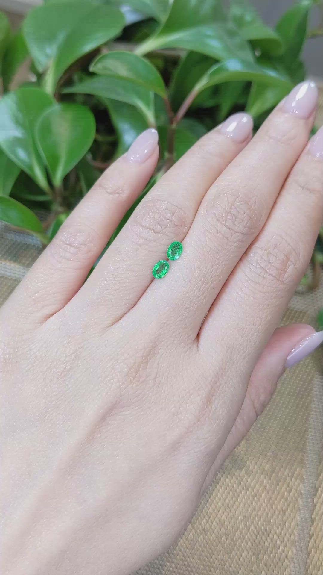 0.51&nbsp;Ct.Tw.Total Carat Weight Emerald Pair from Zambia Size Video