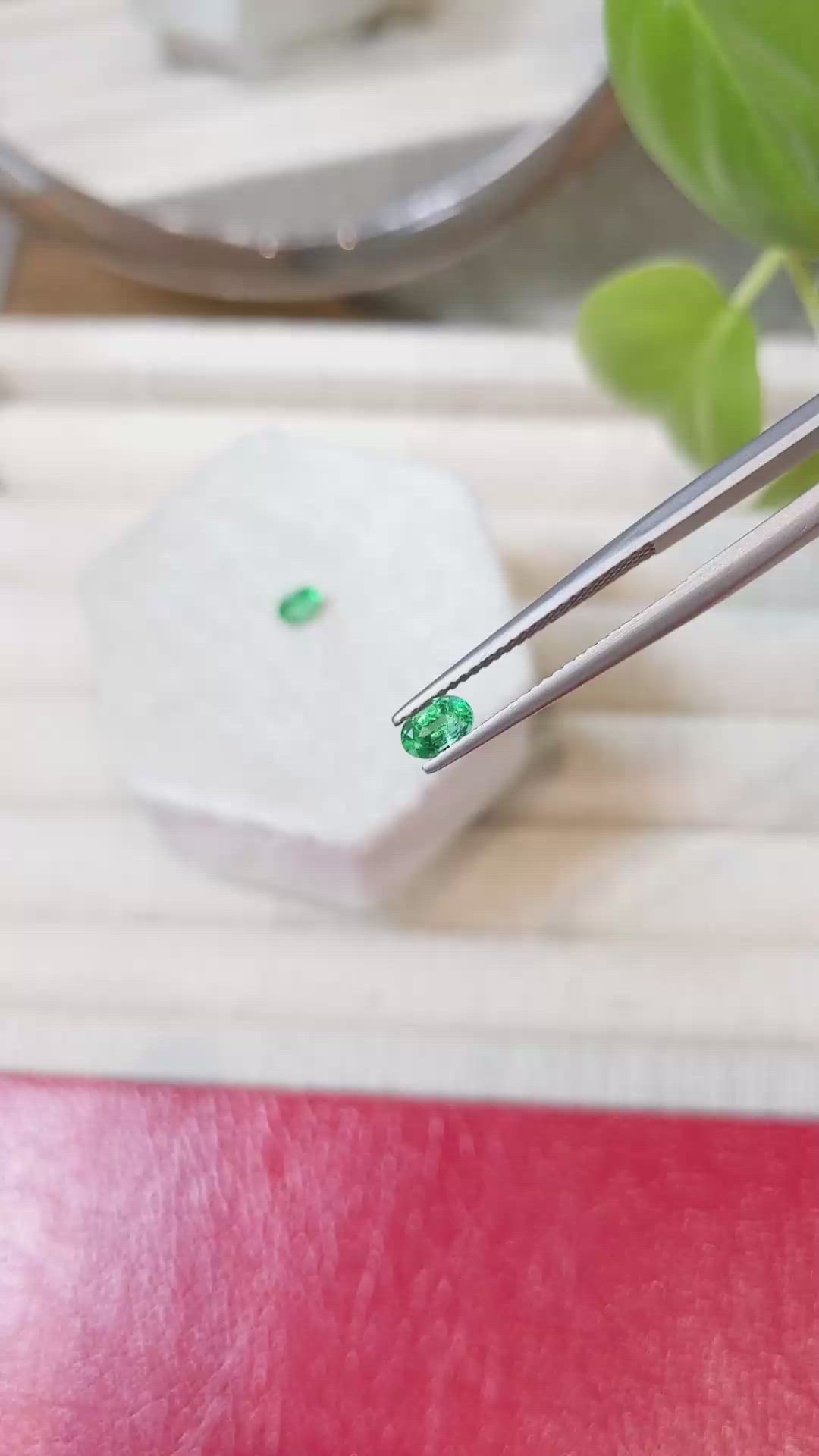 0.60&nbsp;Ct.Tw.Total Carat Weight Emerald Pair from Zambia Size Video