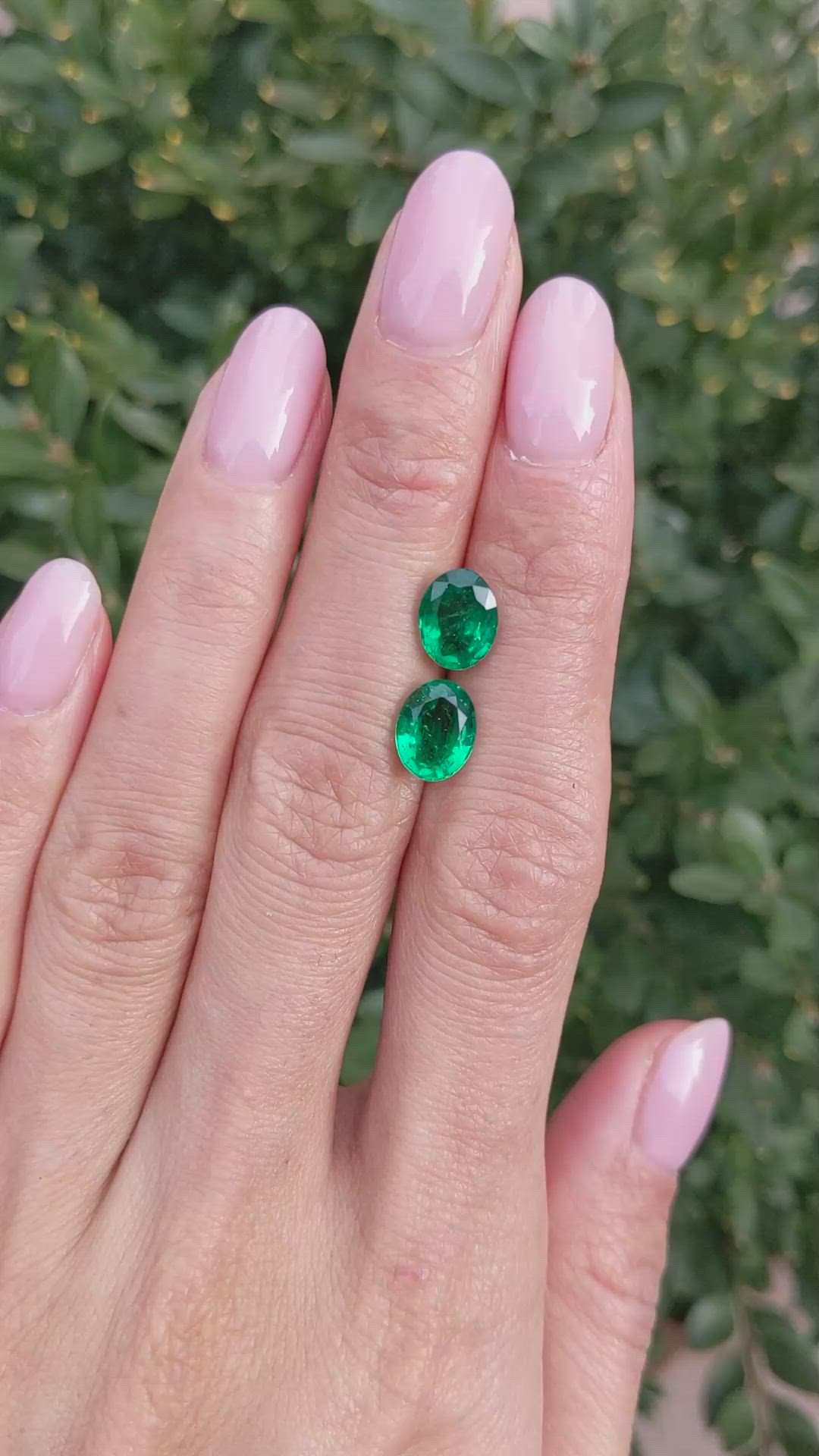 3.10&nbsp;Ct.Tw.Total Carat Weight Emerald Pair from Zambia Size Video