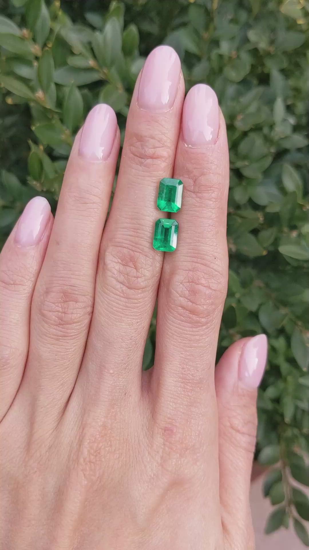 3.27 Ct.Tw.Total Carat Weight Emerald Pair from Zambia Size Video