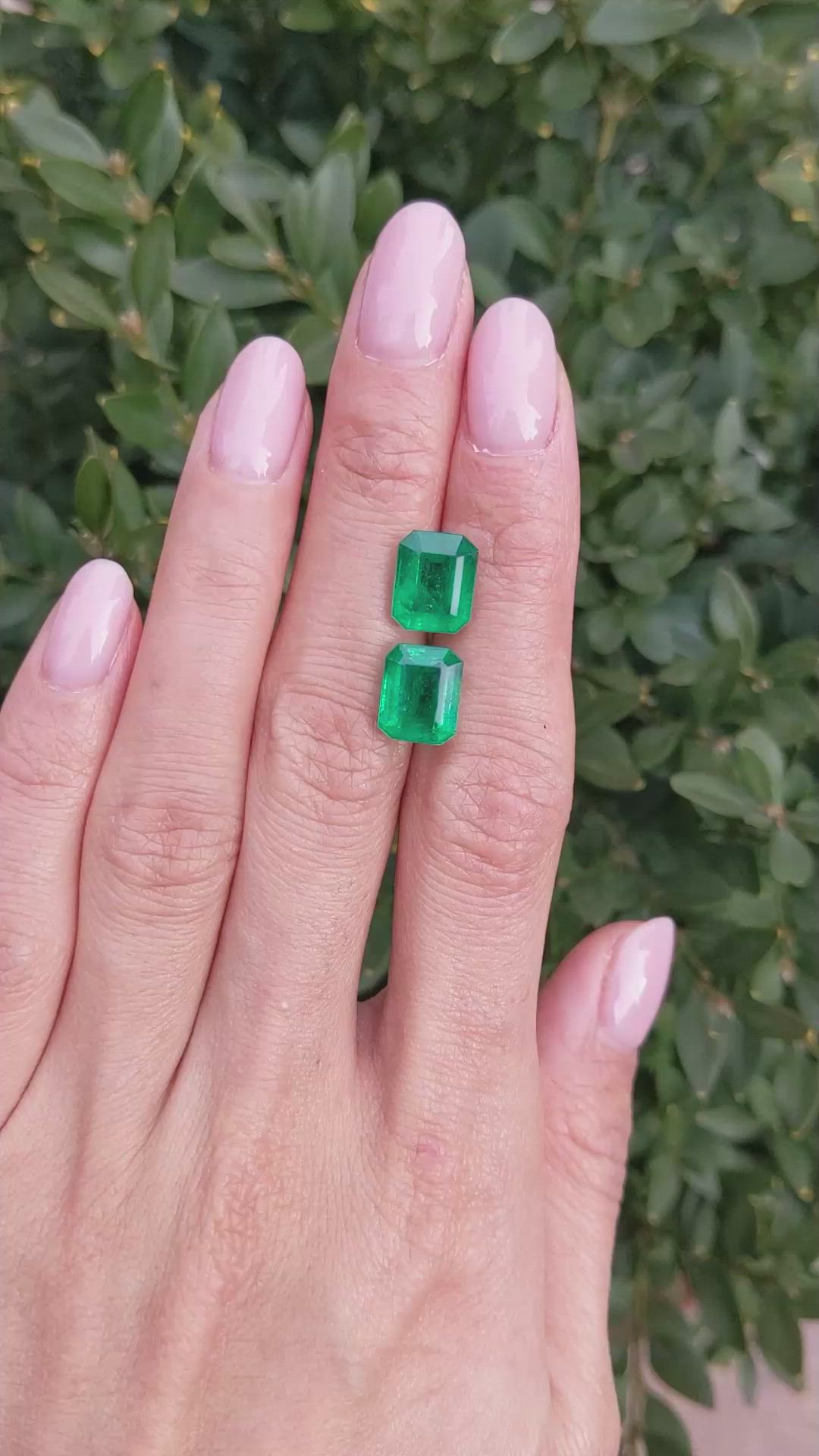 6.79 Ct.Tw.Total Carat Weight Emerald Pair from Zambia Size Video