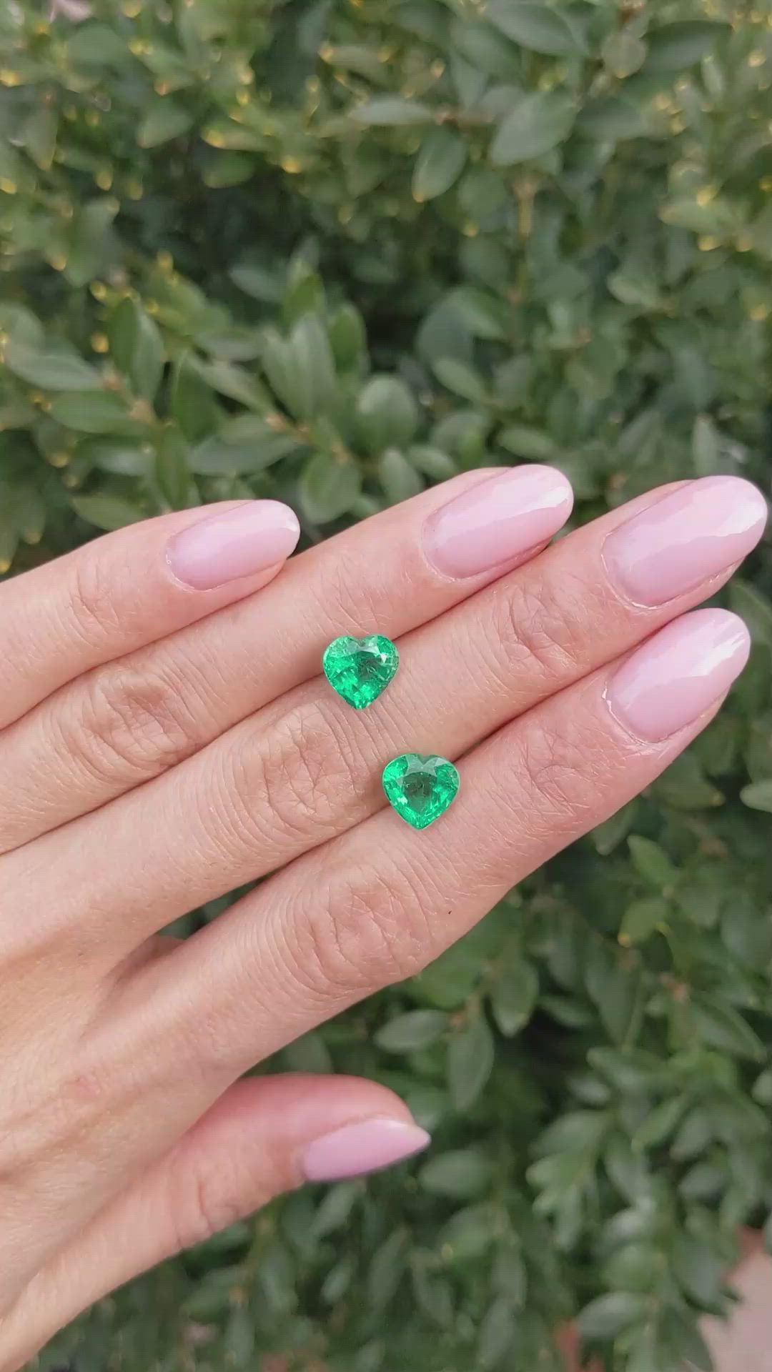 3.64 Ct.Tw.Total Carat Weight Emerald Pair from Zambia Size Video