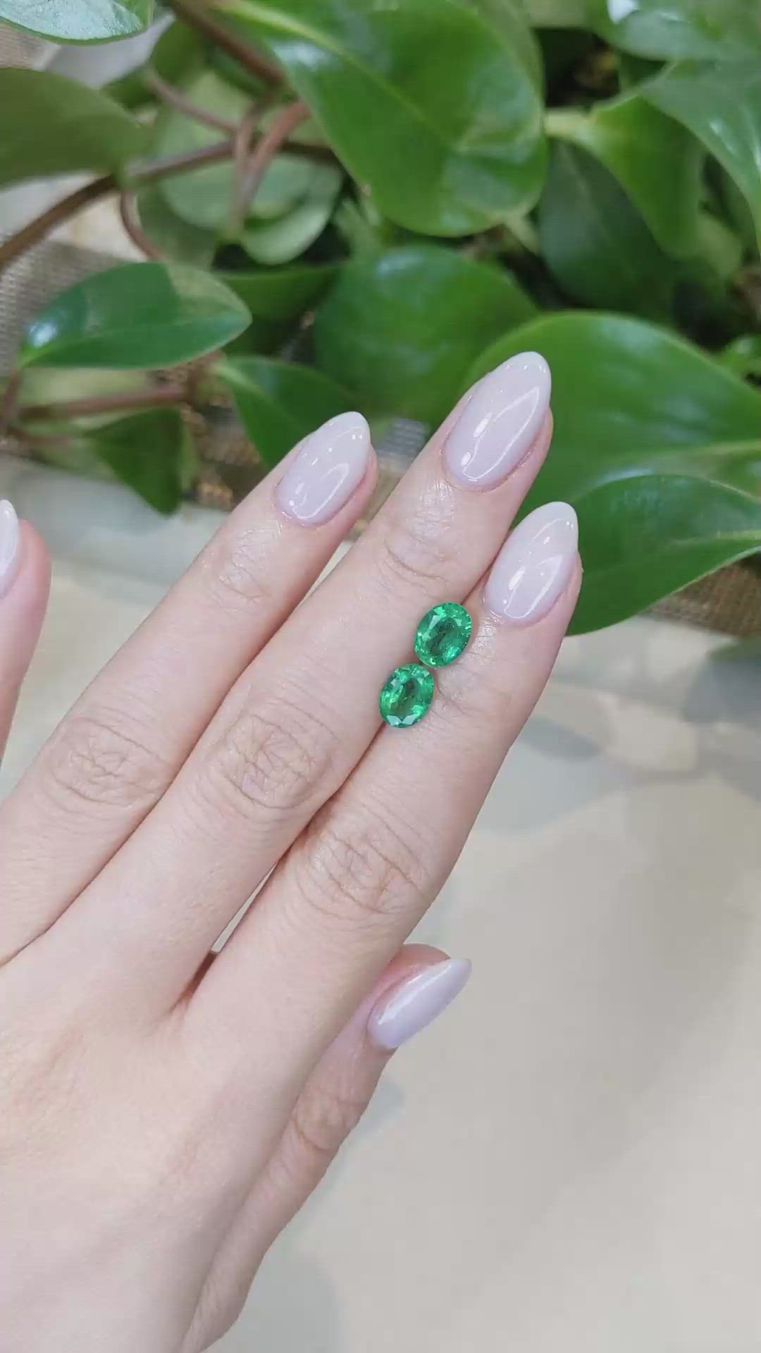 2.14 Ct.Tw.Total Carat Weight Emerald Pair from Zambia Size Video