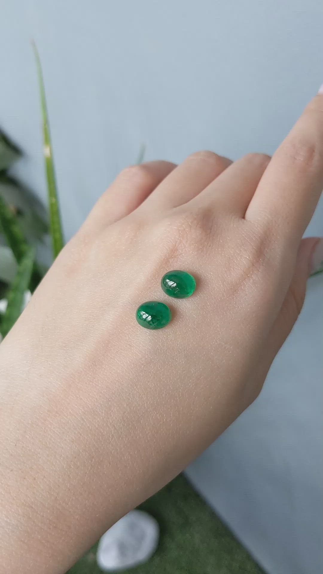 5.10&nbsp;Ct.Tw.Total Carat Weight Cabochon Emerald Pair from Zambia Size Video