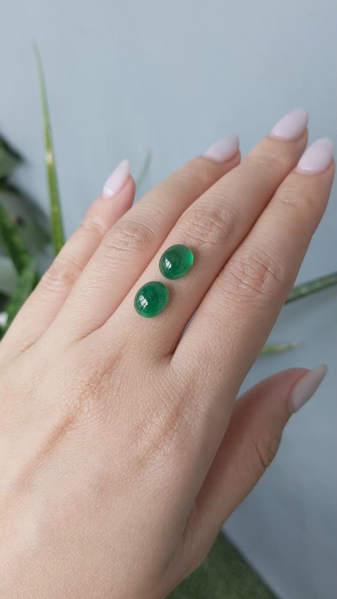 5.10&nbsp;Ct.Tw.Total Carat Weight Cabochon Emerald Pair from Zambia Size Video