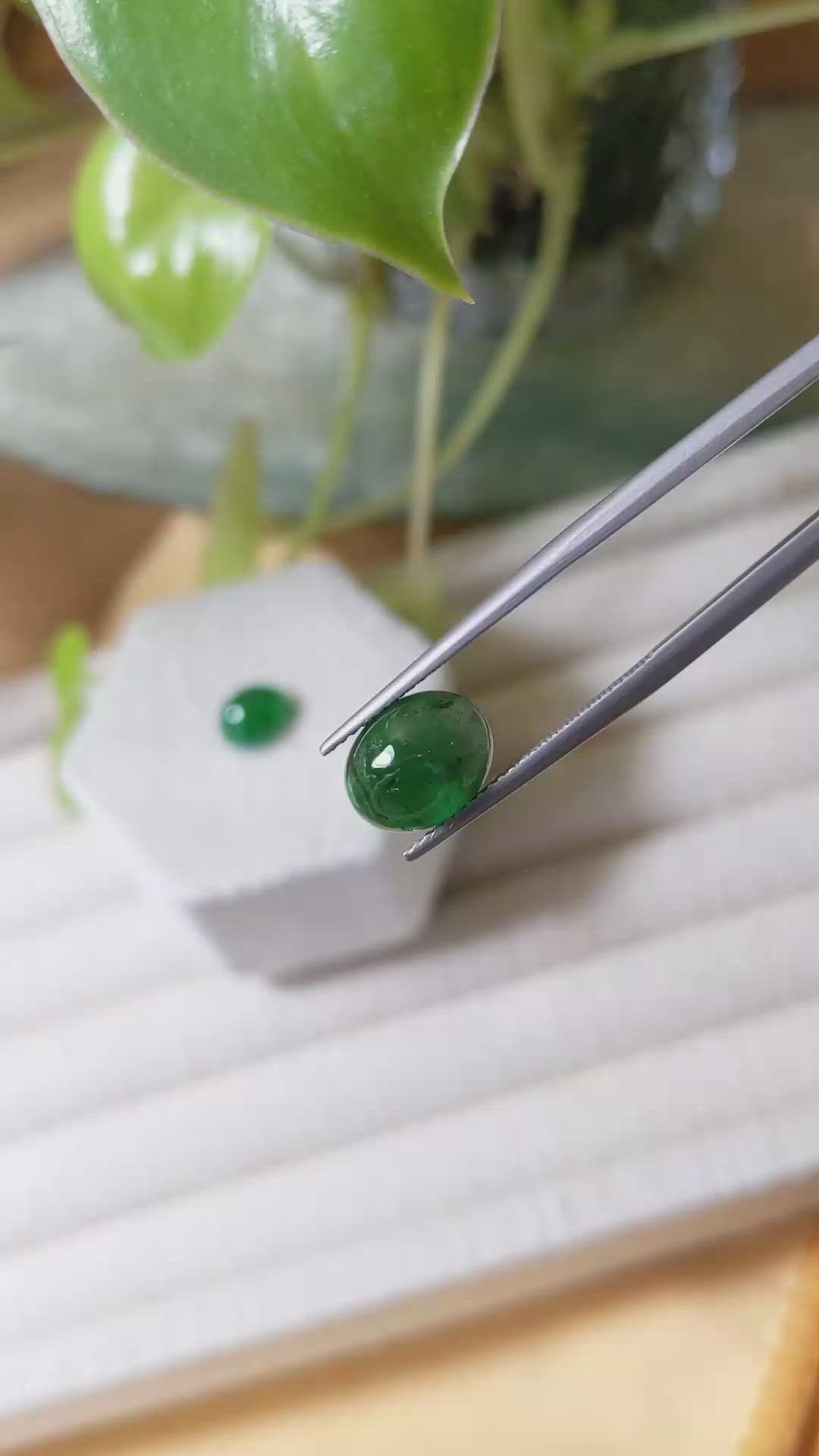 5.49&nbsp;Ct.Tw.Total Carat Weight Cabochon Emerald Pair from Zambia Size Video