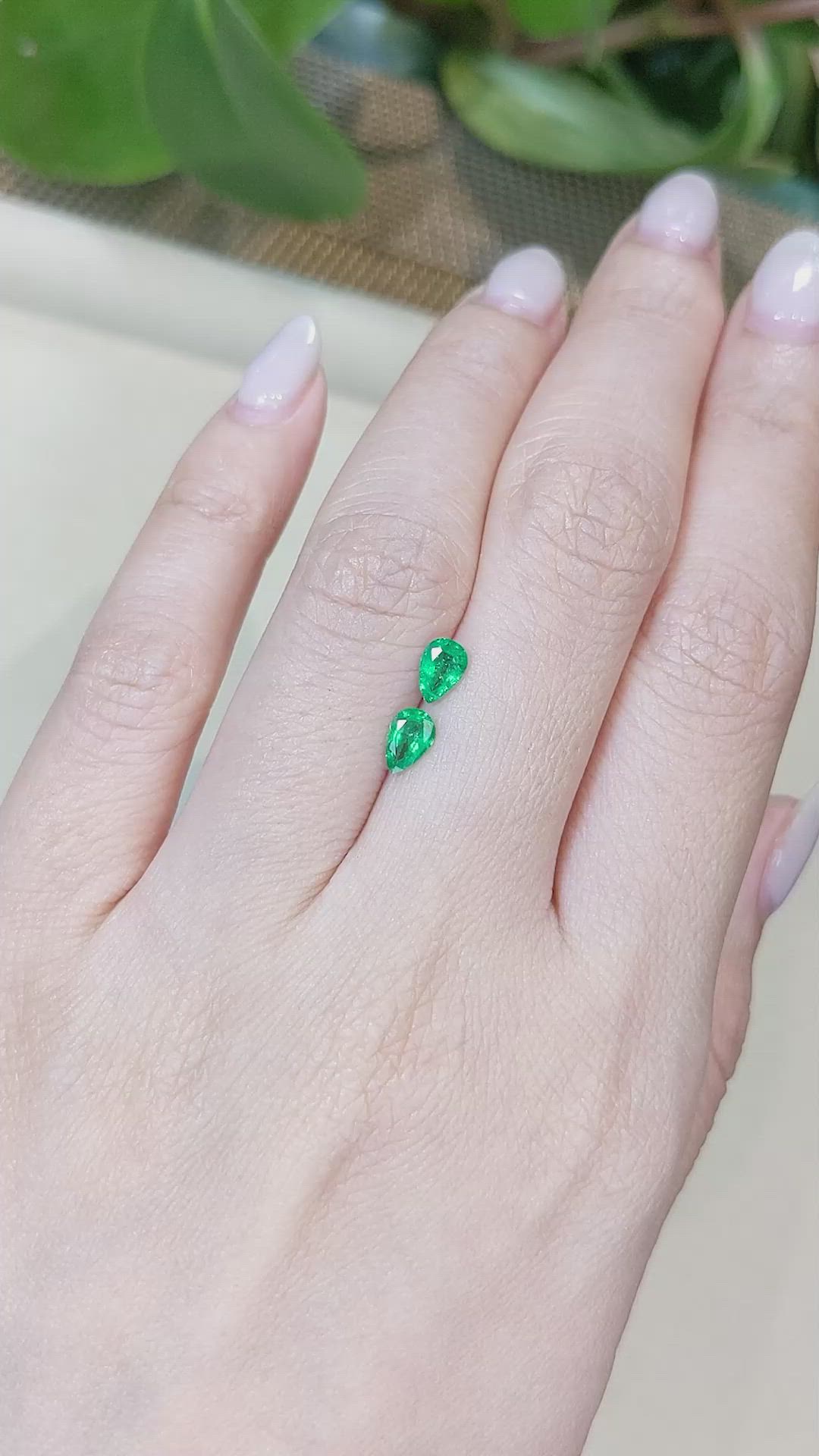 0.64 Ct.Tw.Total Carat Weight Emerald Pair from Zambia Size Video