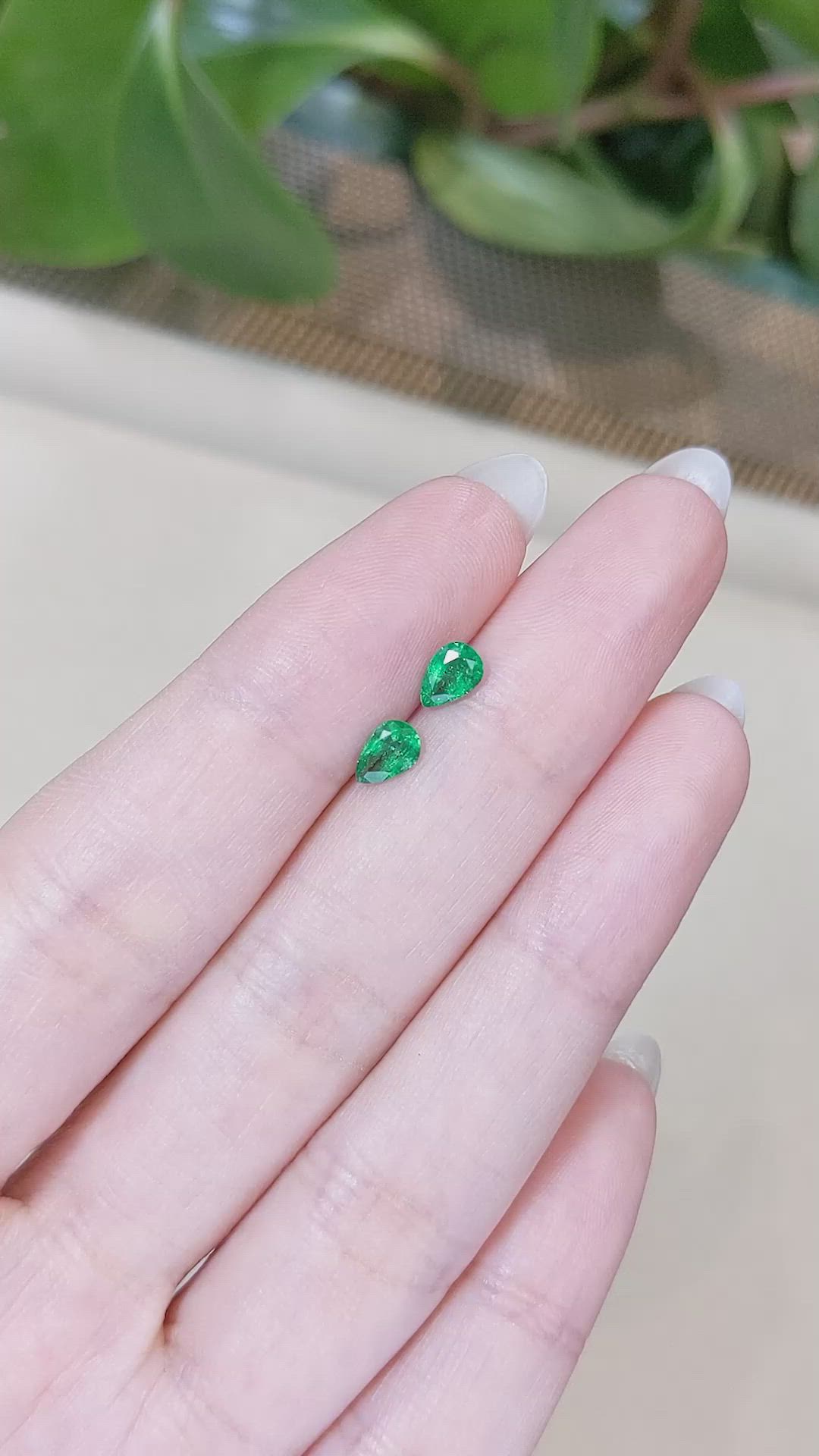 0.64 Ct.Tw.Total Carat Weight Emerald Pair from Zambia Size Video