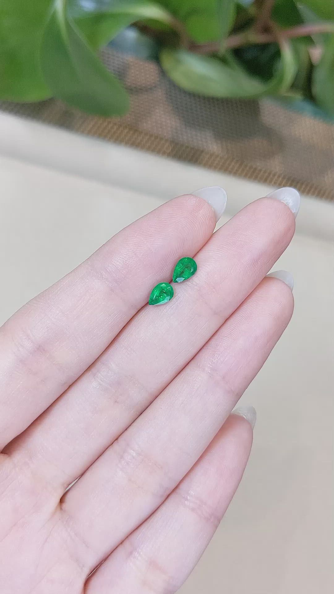 0.68 Ct.Tw.Total Carat Weight Emerald Pair from Zambia Size Video