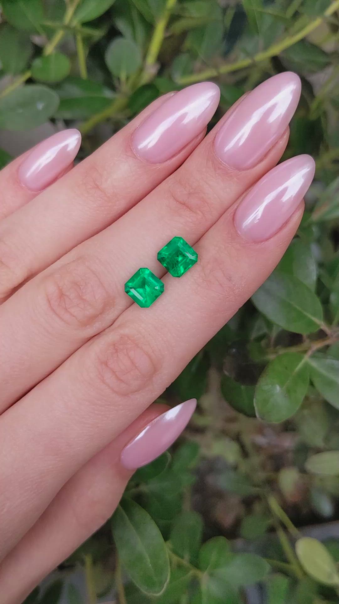 3.09&nbsp;Ct.Tw.Total Carat Weight Emerald Pair from Colombia - Muzo Size Video