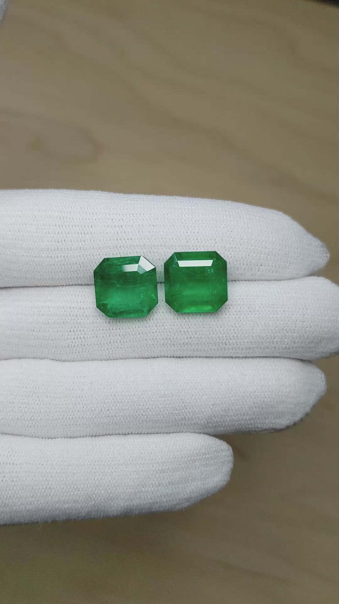 14.03&nbsp;Ct.Tw.Total Carat Weight Emerald Pair from Colombia - Muzo Size Video