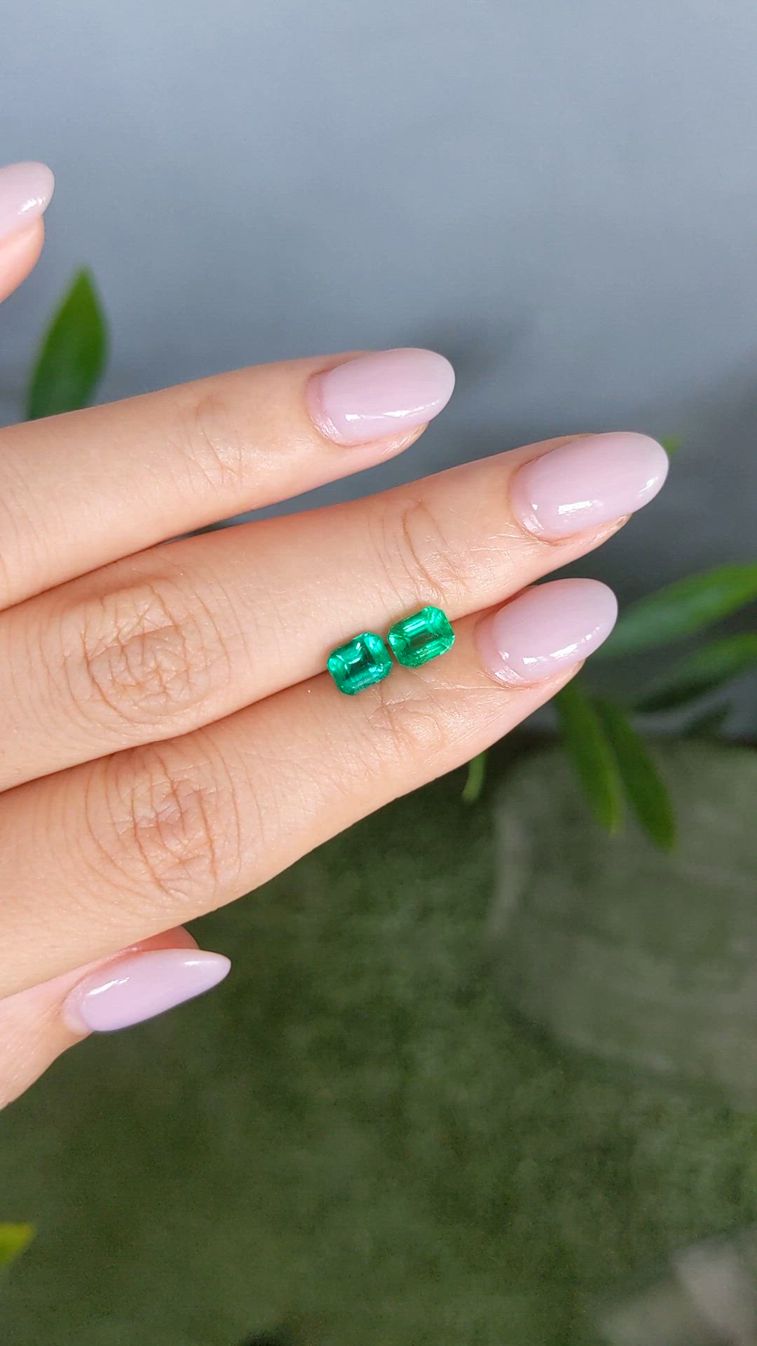 1.69&nbsp;Ct.Tw.Total Carat Weight Emerald Pair from Colombia Size Video