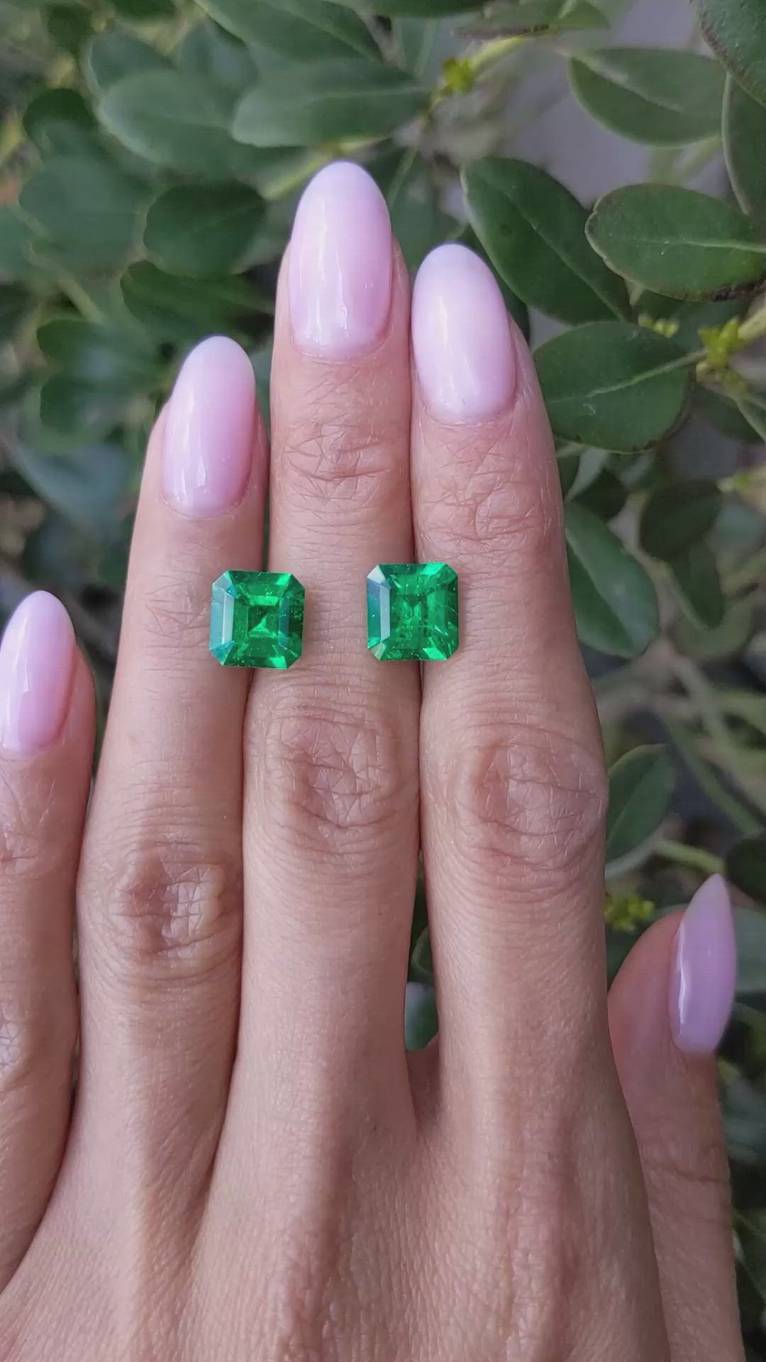 5.25&nbsp;Ct.Tw.Total Carat Weight Emerald Pair from Colombia - Muzo Size Video