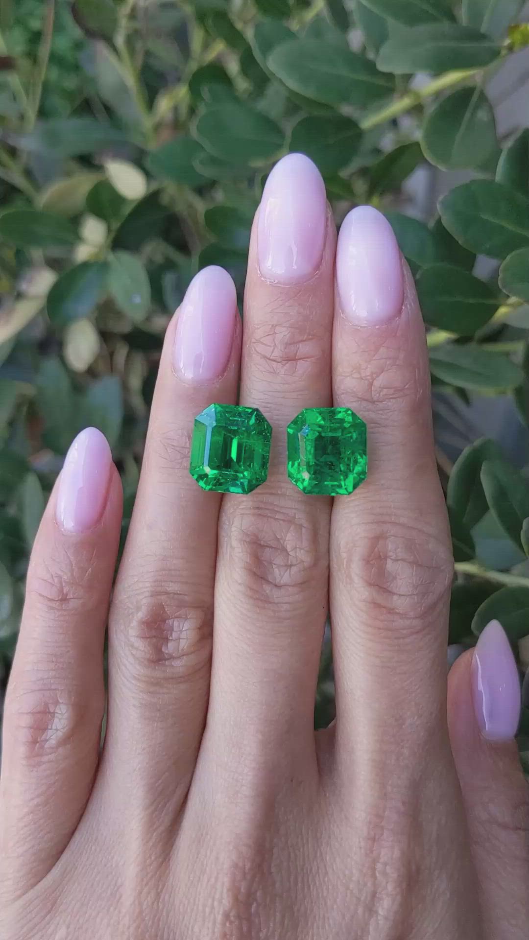 15.72 Ct.Tw.Total Carat Weight Emerald Pair from Zambia Size Video