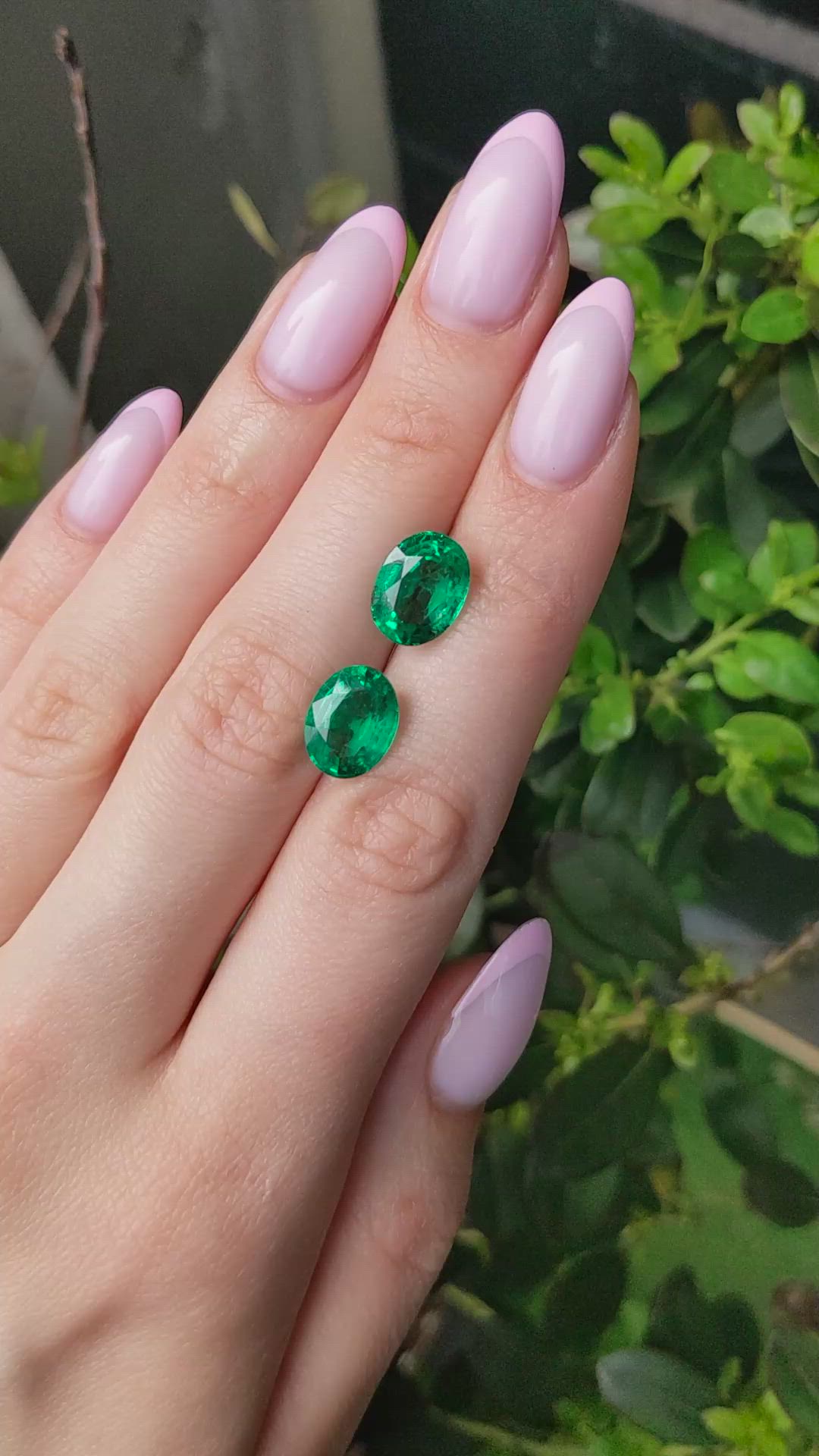 7.72&nbsp;Ct.Tw.Total Carat Weight Emerald Pair from Zambia Size Video