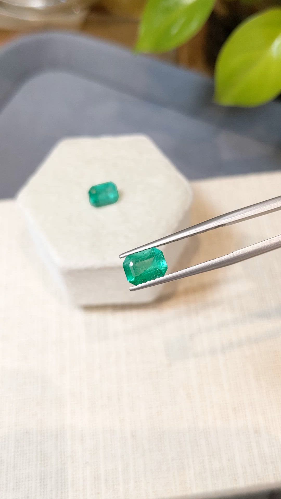 2.53&nbsp;Ct.Tw.Total Carat Weight Emerald Pair from Brazil Size Video