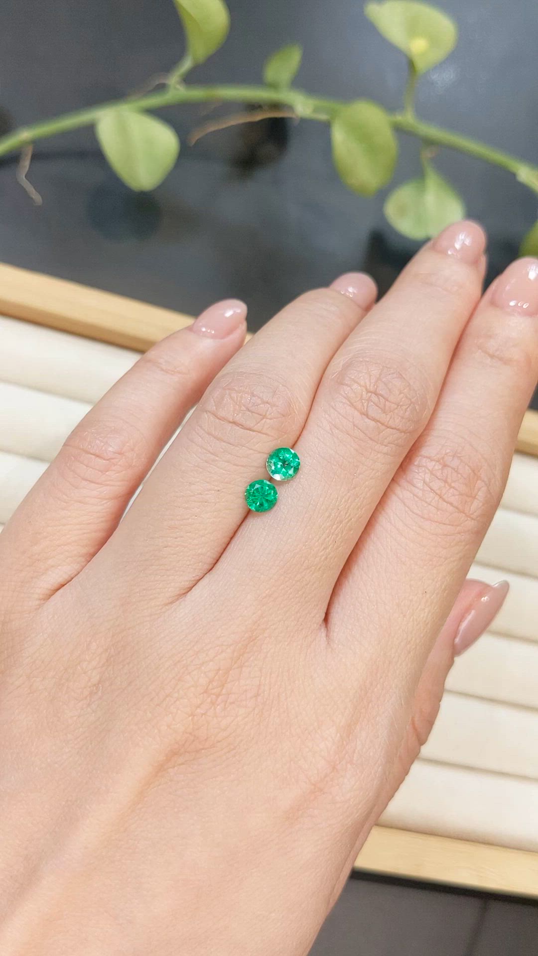0.71&nbsp;Ct.Tw.Total Carat Weight Emerald Pair from Afghanistan Size Video