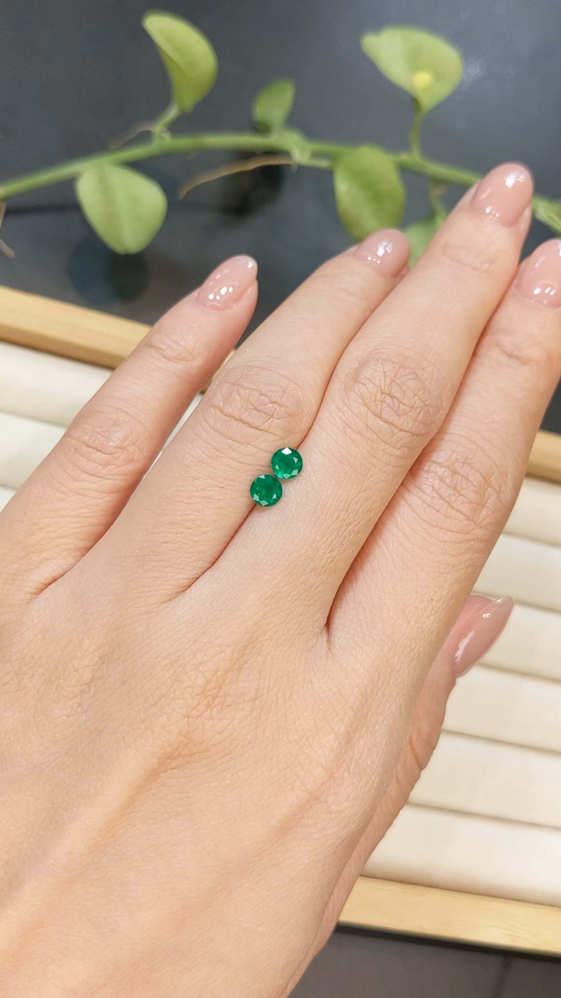 0.56&nbsp;Ct.Tw.Total Carat Weight Emerald Pair from Afghanistan Size Video