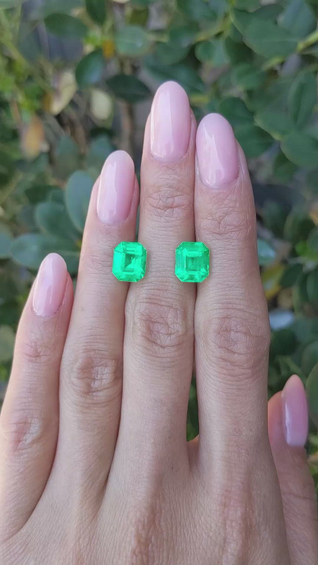 5.66&nbsp;Ct.Tw.Total Carat Weight Emerald Pair from Colombia Size Video