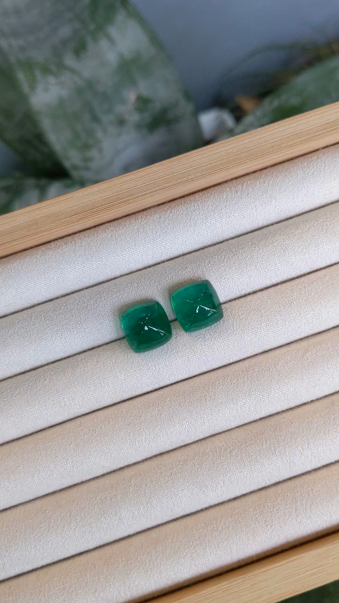 18.09&nbsp;Ct.Tw.Total Carat Weight Cabochon Emerald Pair from Zambia Size Video