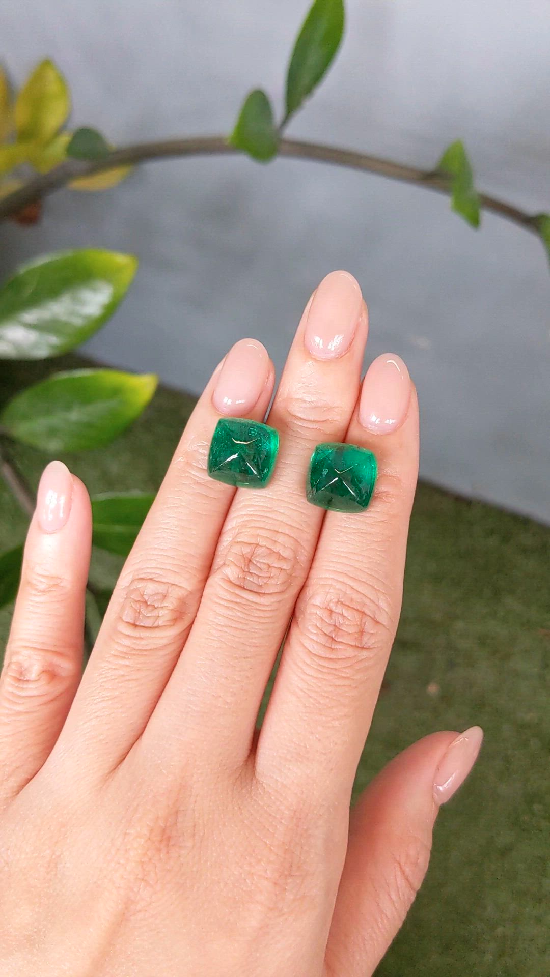 18.09&nbsp;Ct.Tw.Total Carat Weight Cabochon Emerald Pair from Zambia Size Video
