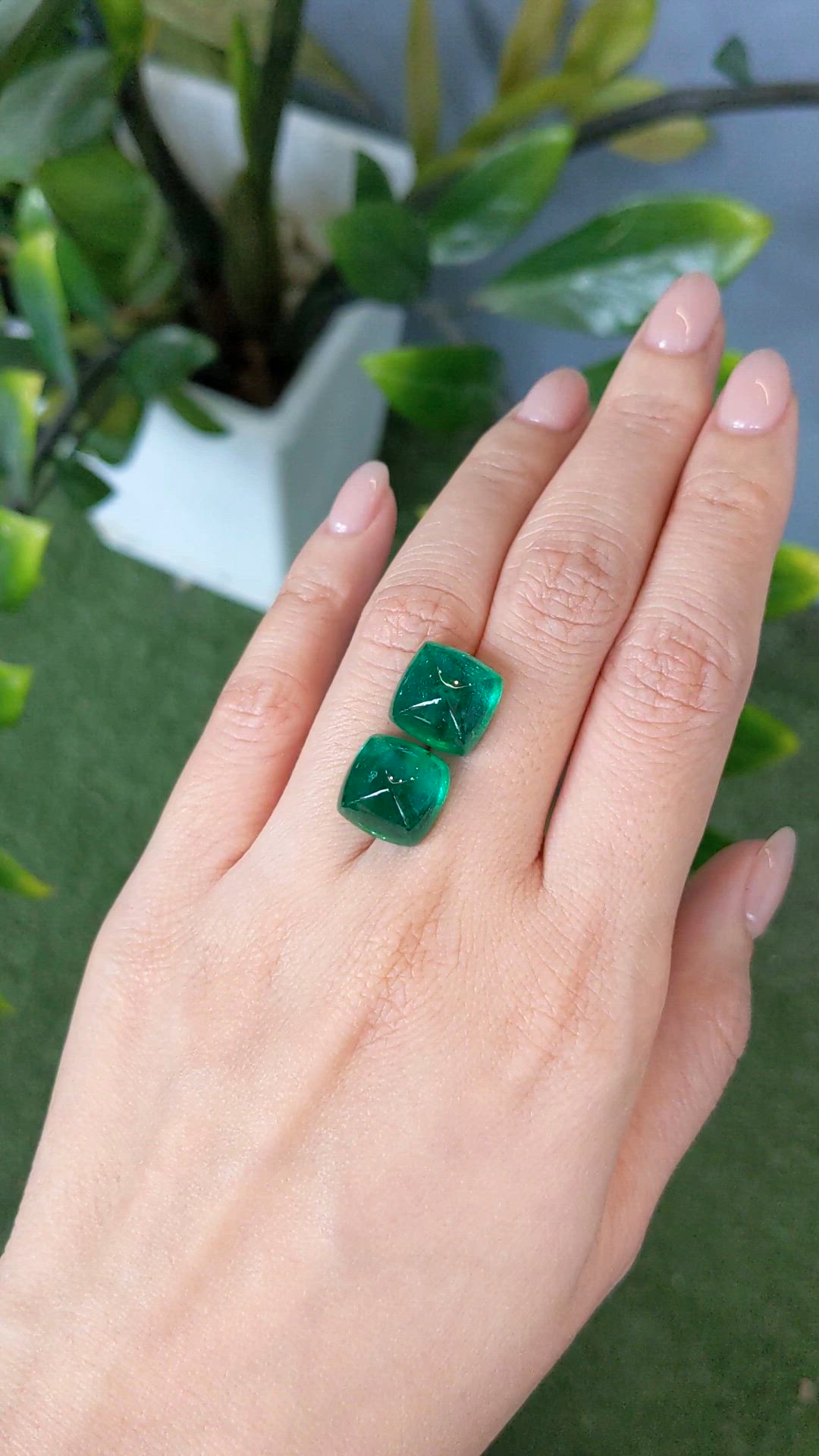 18.09&nbsp;Ct.Tw.Total Carat Weight Cabochon Emerald Pair from Zambia Size Video