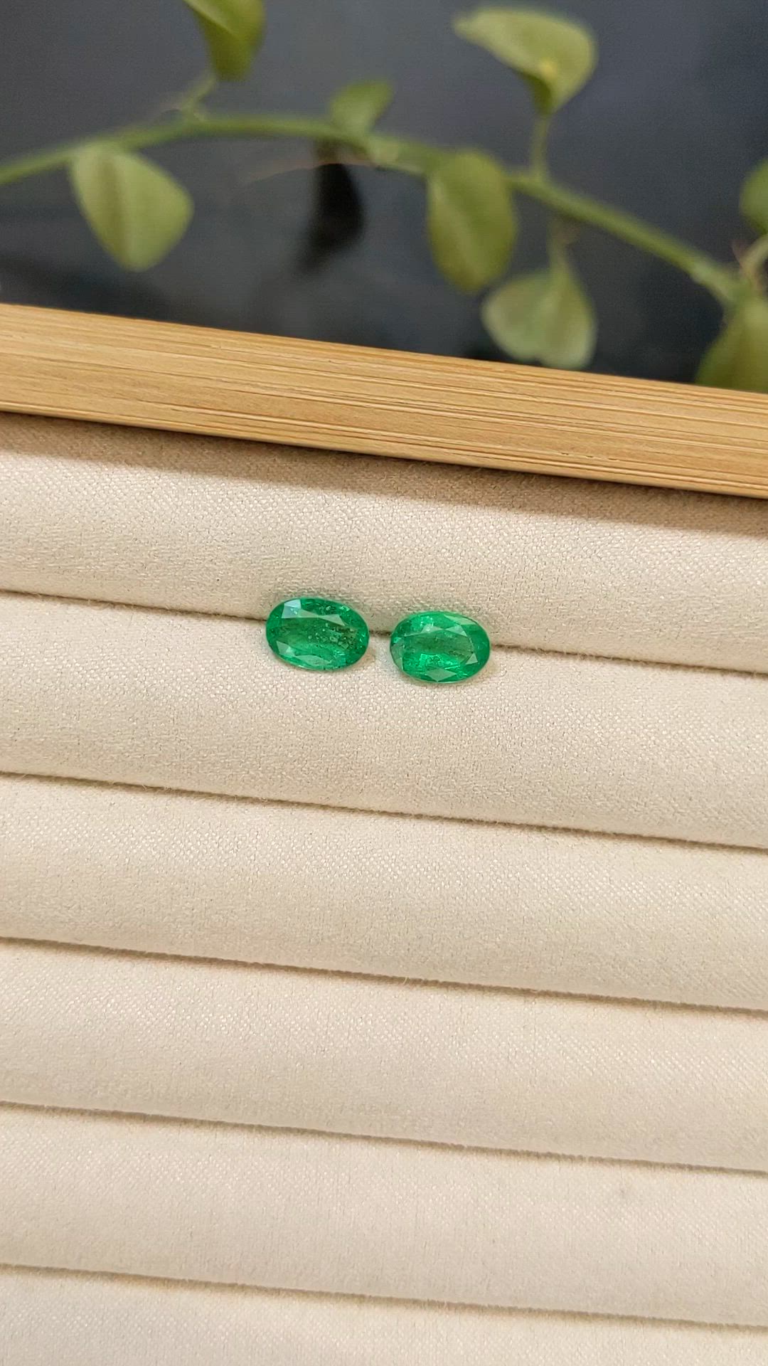 3.00&nbsp;Ct.Tw.Total Carat Weight Emerald Pair from Colombia Size Video