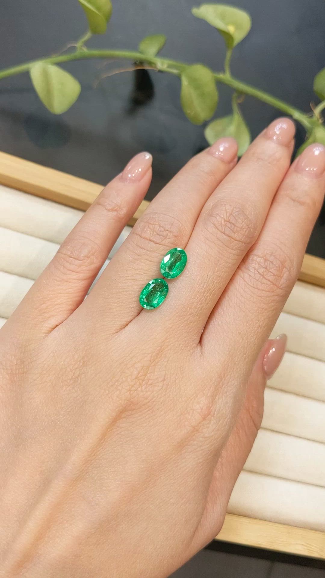 3.00&nbsp;Ct.Tw.Total Carat Weight Emerald Pair from Colombia Size Video