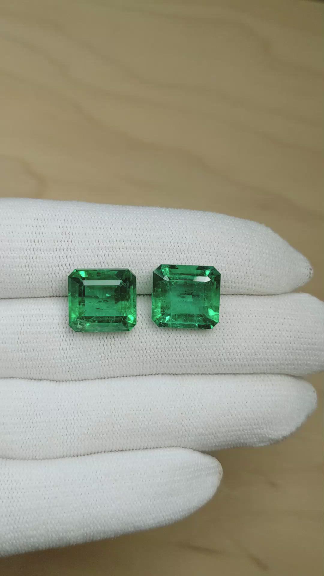 16.65 Ct.Tw.Total Carat Weight Emerald Pair from Zambia Size Video