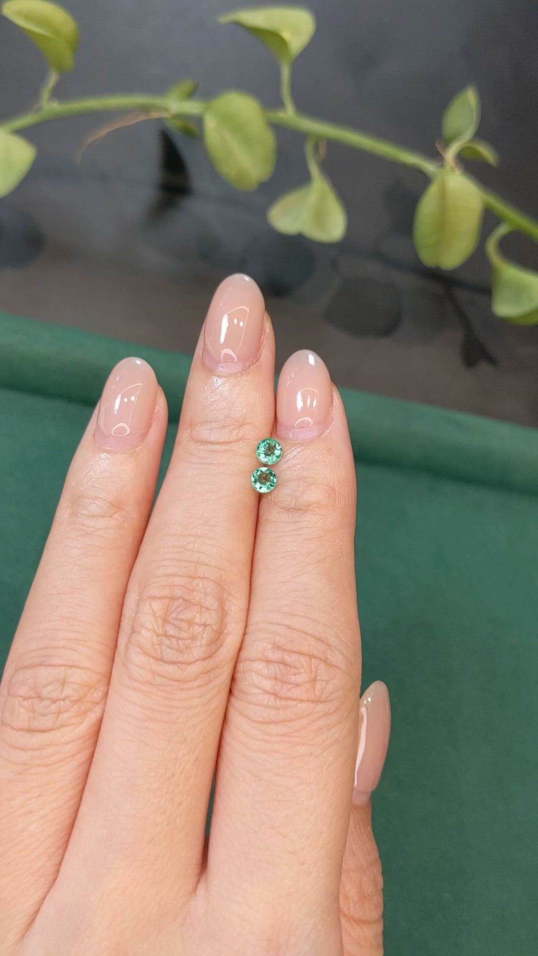 0.37 Ct.Tw.Total Carat Weight Emerald Pair from Zambia Size Video