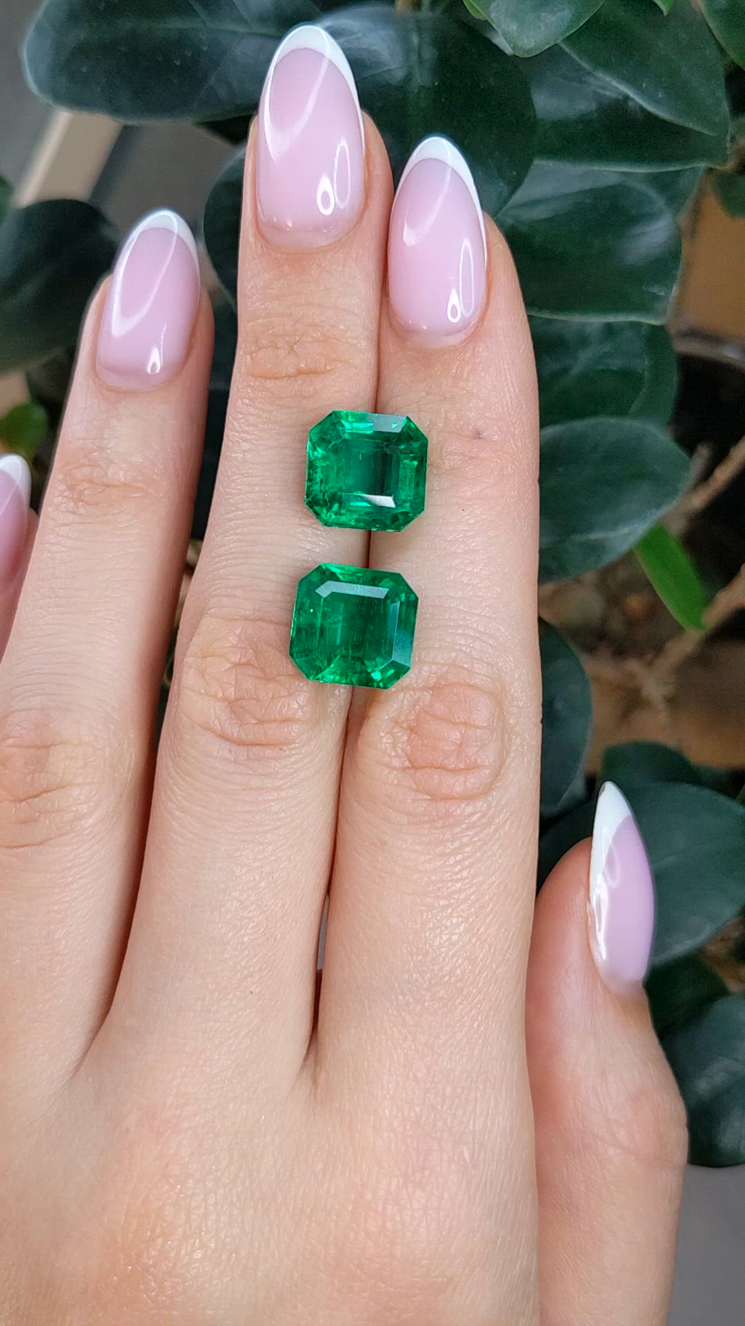 13.02 Ct.Tw.Total Carat Weight Emerald Pair from Zambia Size Video