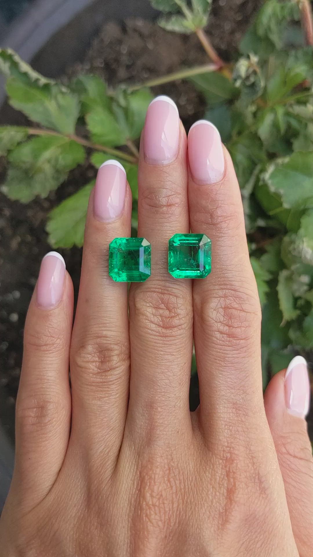 13.24&nbsp;Ct.Tw.Total Carat Weight Emerald Pair from Zambia Size Video