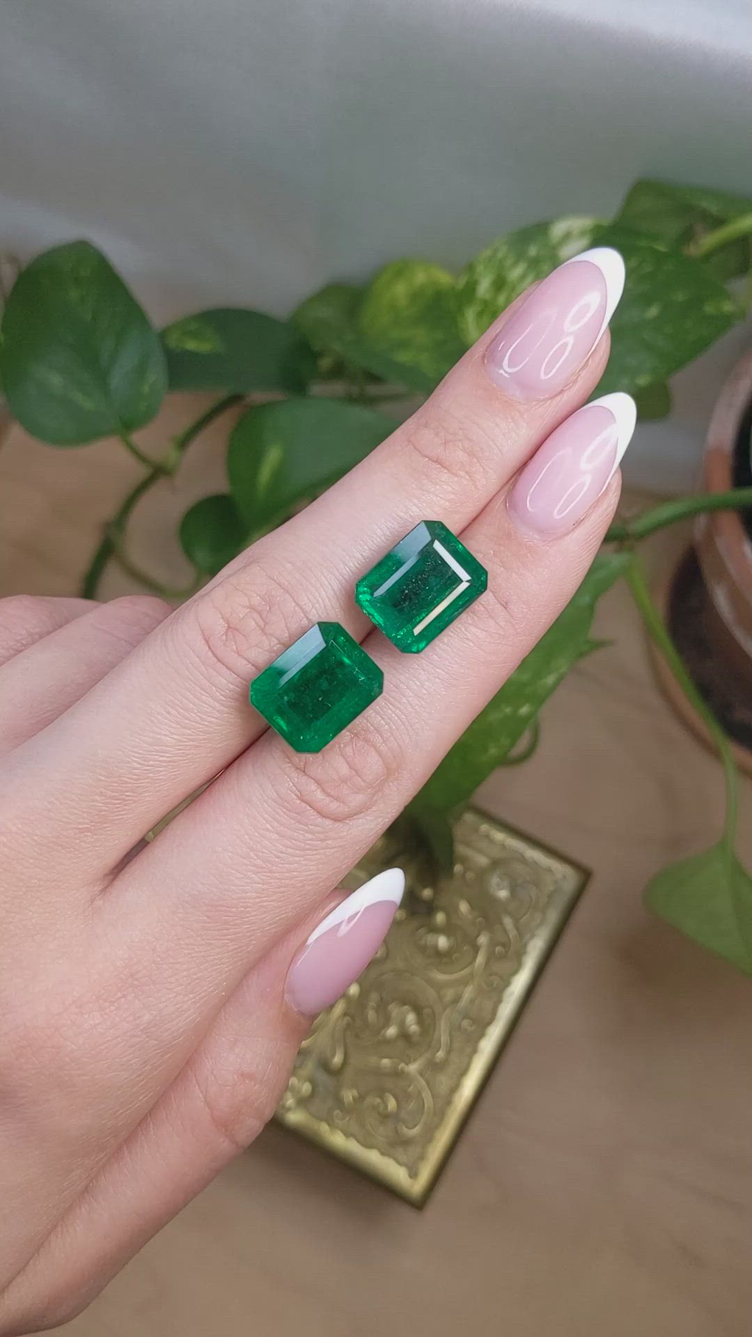 22.22 Ct.Tw.Total Carat Weight Emerald Pair from Zambia Size Video