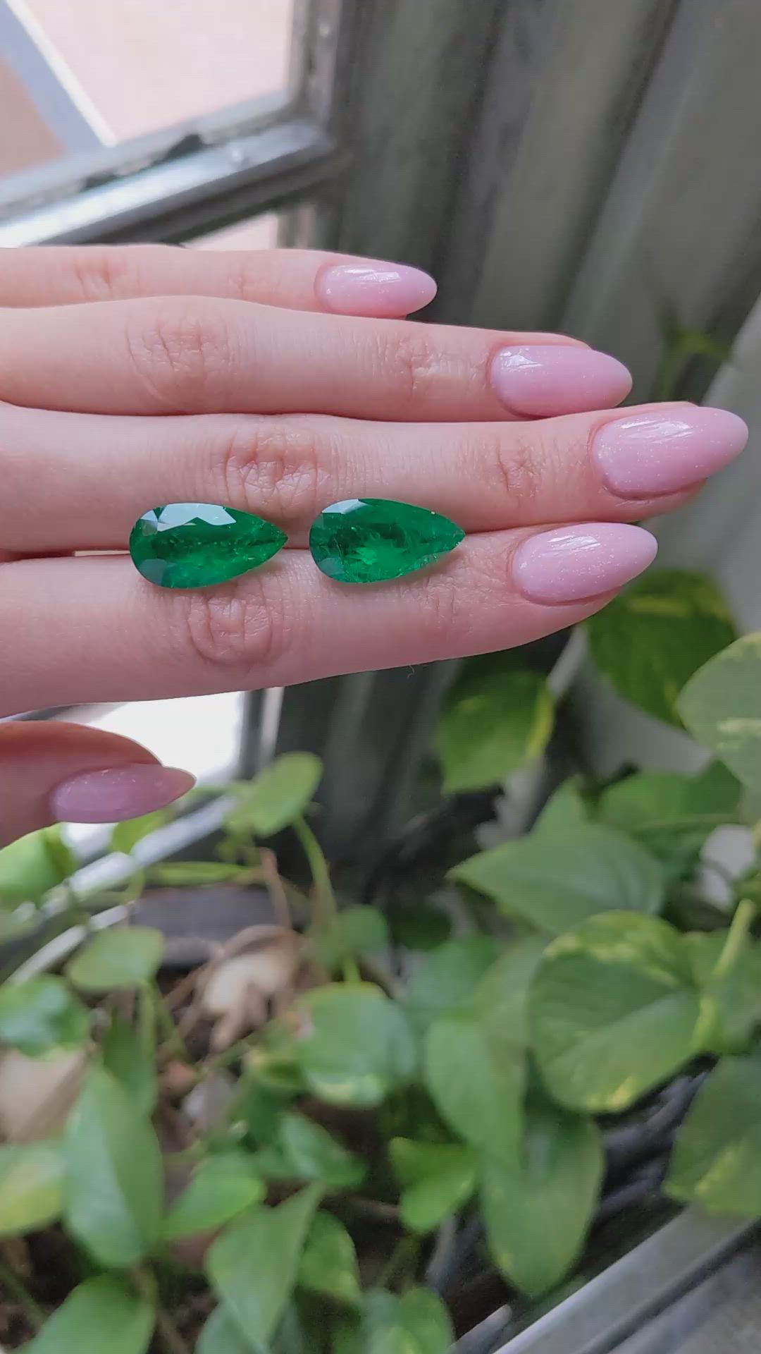 16.00 Ct.Tw.Total Carat Weight Emerald Pair from Colombia - Muzo Size Video