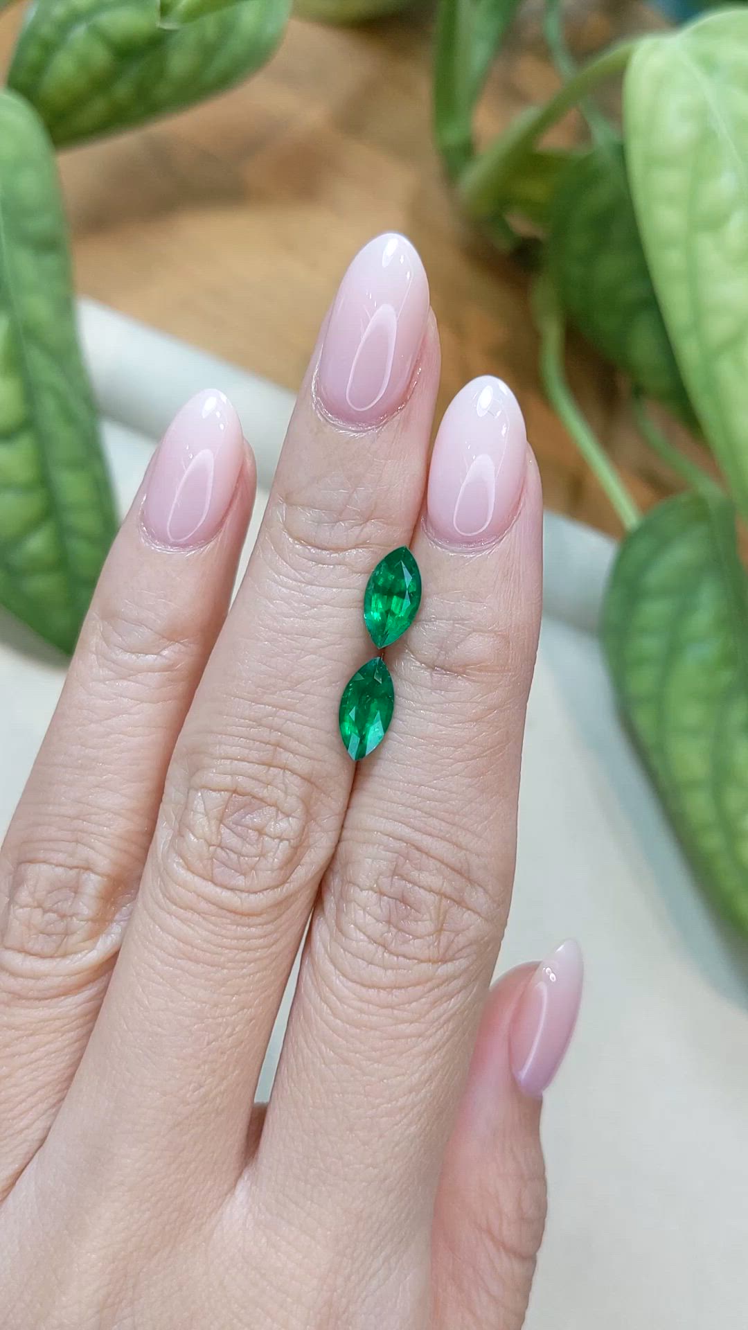 1.68 Ct.Tw.Total Carat Weight Emerald Pair from Zambia Size Video