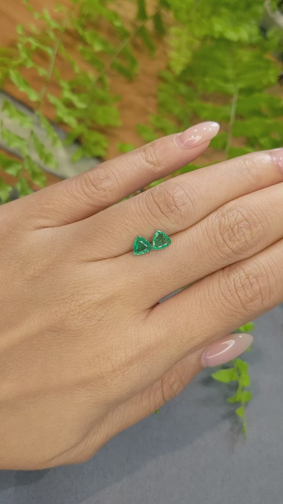 0.83 Ct.Tw.Total Carat Weight Emerald Pair from Zambia Size Video