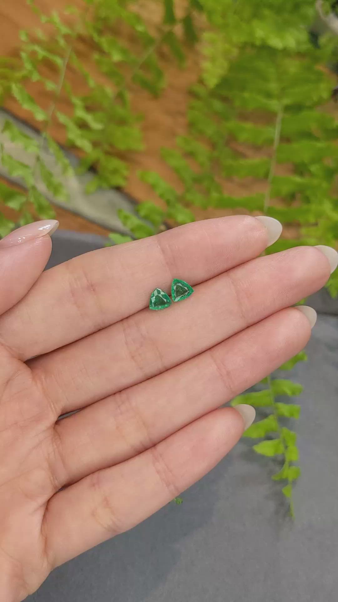0.83 Ct.Tw.Total Carat Weight Emerald Pair from Zambia Size Video