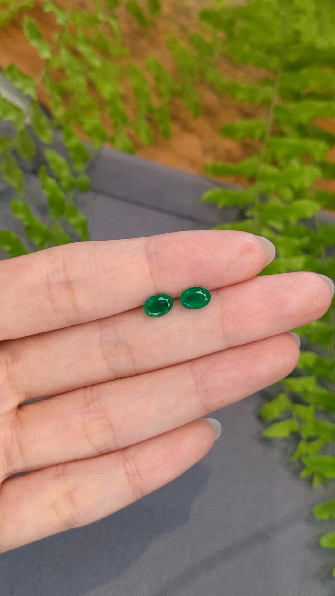 1.26&nbsp;Ct.Tw.Total Carat Weight Emerald Pair from Afghanistan Size Video