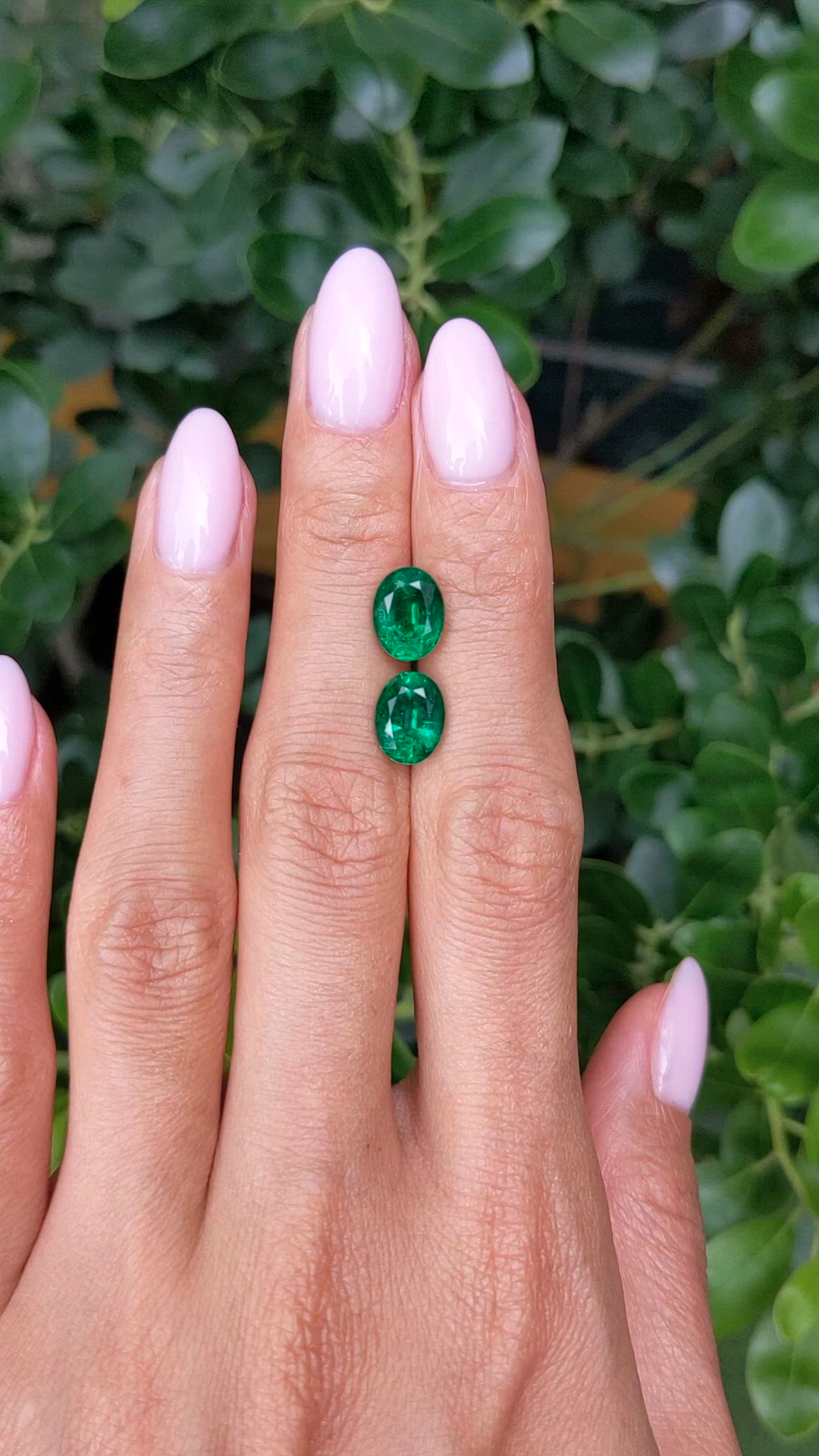 4.05&nbsp;Ct.Tw.Total Carat Weight Emerald Pair from Zambia Size Video