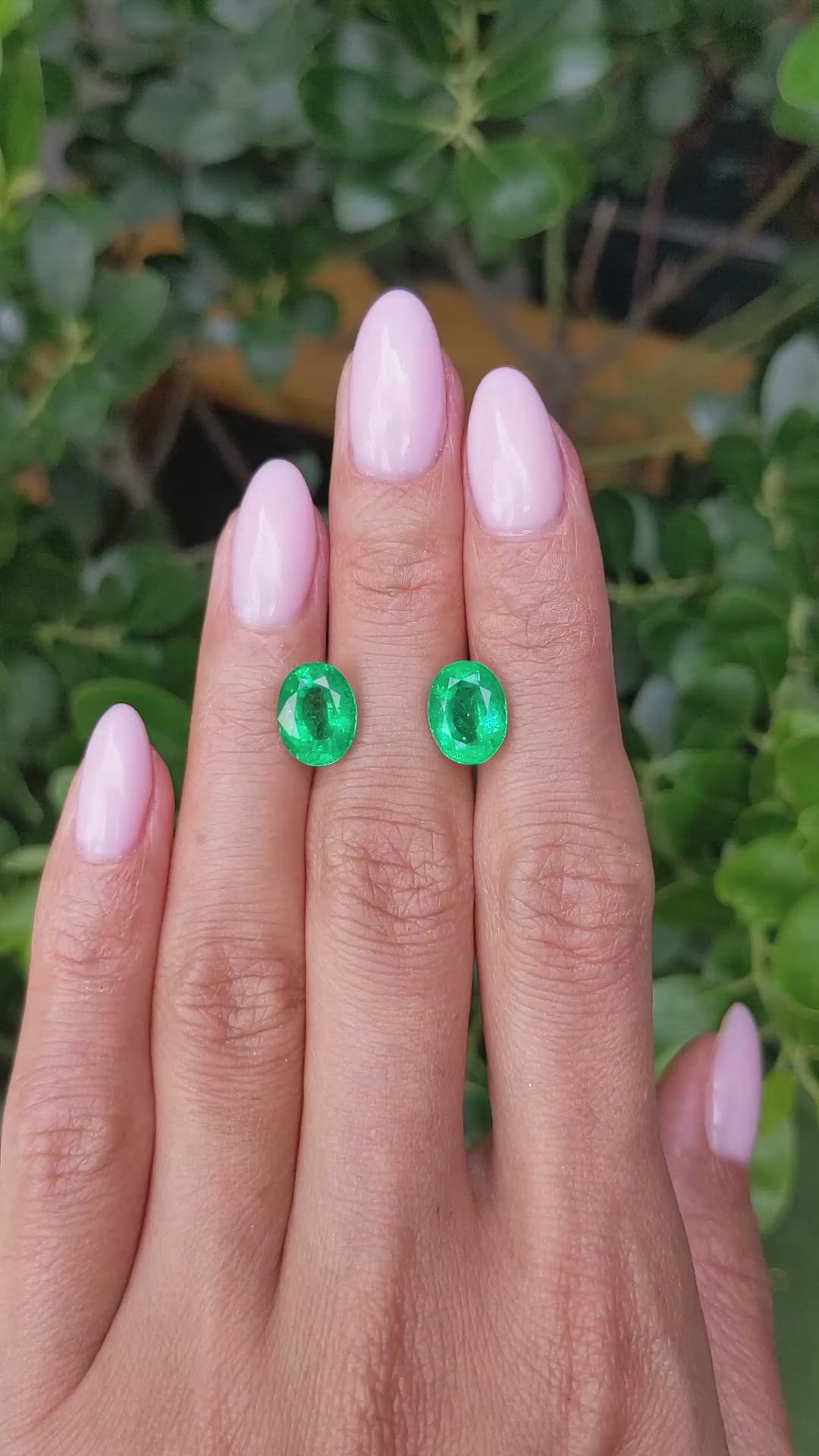 5.02 Ct.Tw.Total Carat Weight Emerald Pair from Zambia Size Video