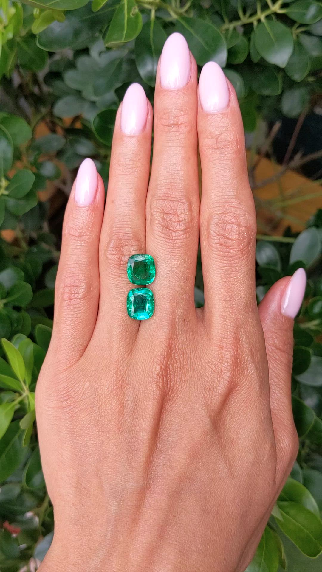 5.85&nbsp;Ct.Tw.Total Carat Weight Emerald Pair from Zambia Size Video