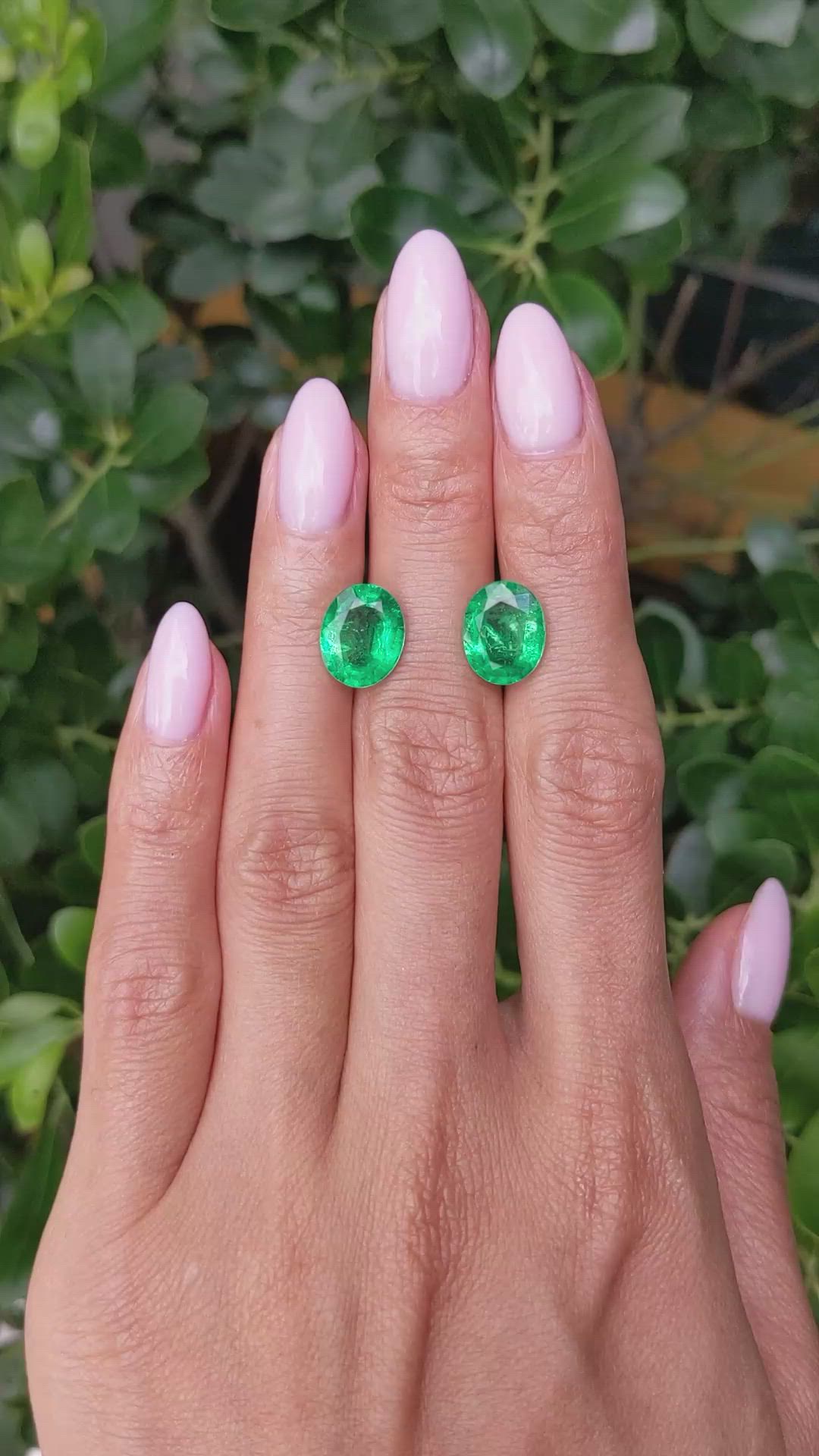 6.22 Ct.Tw.Total Carat Weight Emerald Pair from Zambia Size Video