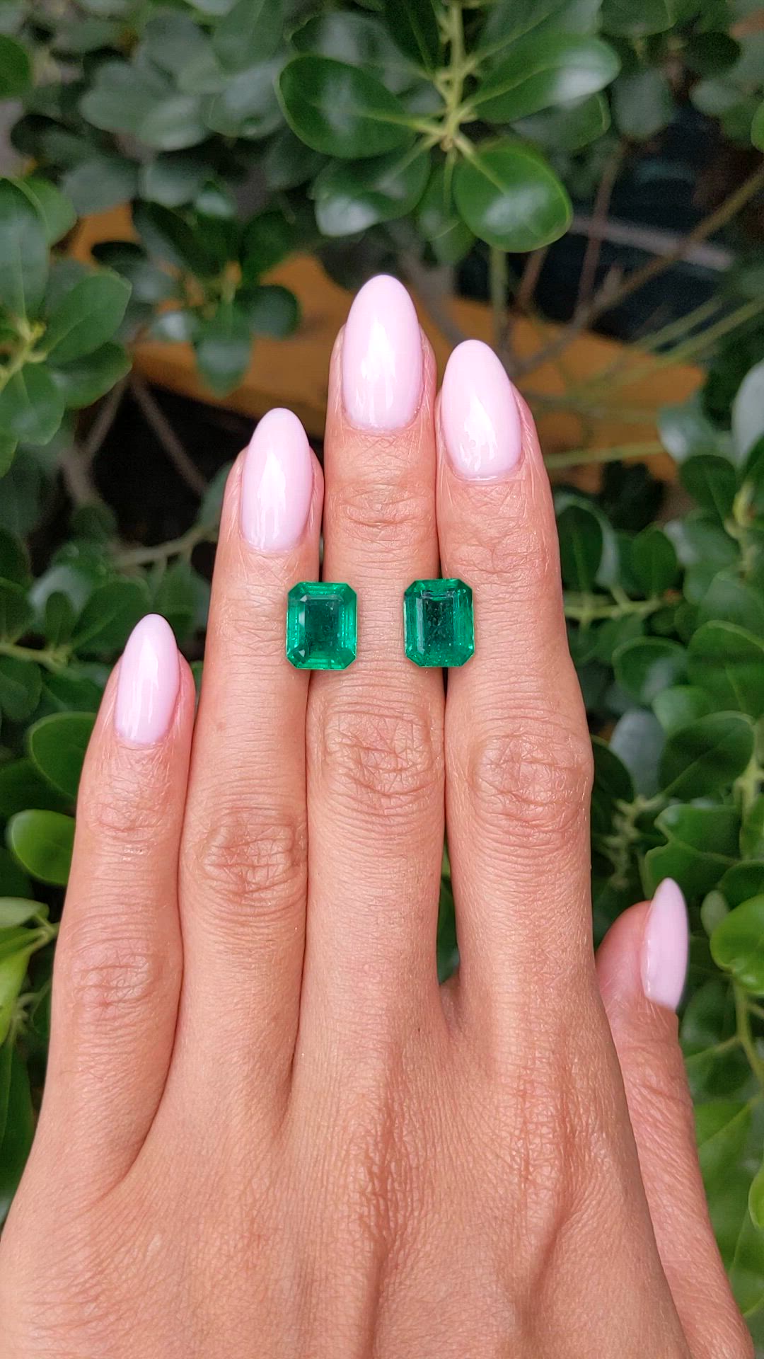 6.72 Ct.Tw.Total Carat Weight Emerald Pair from Zambia Size Video